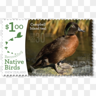 Single Stamp - Stamp Island Bird, HD Png Download