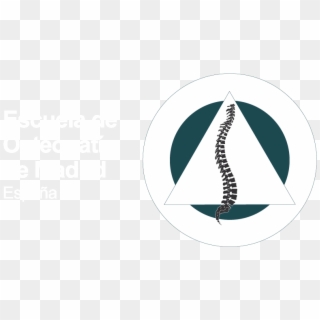 Logo General Internacional España - Escuela De Osteopatia De Madrid, HD Png Download
