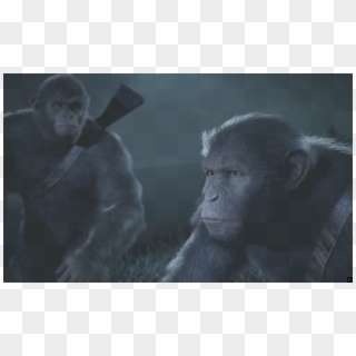 [trailer] Video Game 'planet Of The Apes - Common Chimpanzee, HD Png Download
