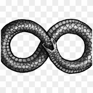 Can We Prepare For The Consequences Of Living Potentially - Infinity Snake Tattoo, HD Png Download