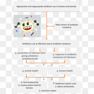 Flowchart Of Potential Consequences Unless Action Is - Consequences Of Antibiotic Resistance, HD Png Download