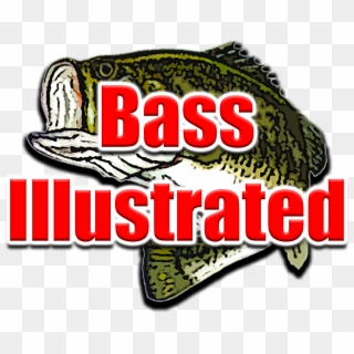 Major League Fishing, Bass Pro Shops And Outdoor Sportsman - Label, HD Png Download