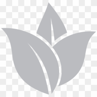 Gunpowder - Tea, HD Png Download