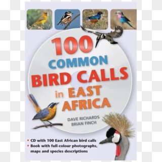 100 Common Bird Calls In East Africa - Turkey, HD Png Download