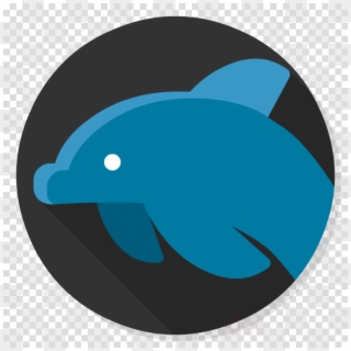 Data Blue Dolphin Transparent Transparent Background - Record Lp Vinyl Png, Png Download