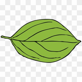 Apple Leaf Green Oval Shape Png Image - Leaf Clipart, Transparent Png