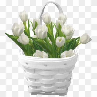 Tulip Clipart Basket - White Tulip Flowers Png, Transparent Png