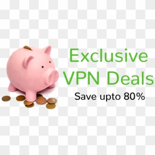 Vpn Coupons Promotional Banner - Domestic Pig, HD Png Download