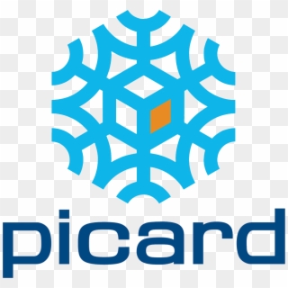 Logo Picard Surgelés - Picard Foods, HD Png Download