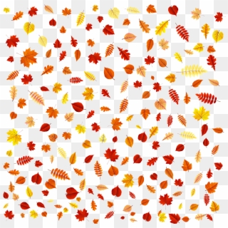 Fall Leaves Overlay Transparent Png Clip Art, Png Download