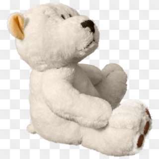 White Teddy Bear Png - Teddy Bear, Transparent Png