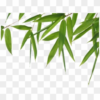 Green Leaves Clipart Bamboo Leave - Free Bamboo Png, Transparent Png