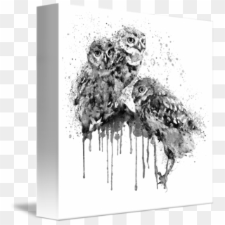 Three Cute Owls Black And White By Marian Voicu, Bucharest - Art Black And White Owl, HD Png Download