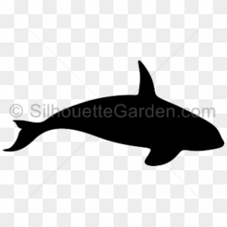 Killer Whale Clipart Silhouette - Killer Whale Silhouette, HD Png Download