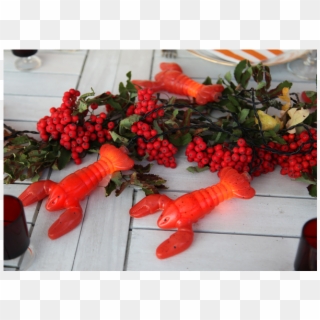 Light Chain Crayfish Party - Homarus, HD Png Download