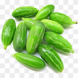Ivy Gourd , Png Download - Tindly India, Transparent Png