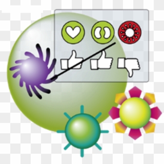 Immune-system Learning - Comment Le Vih Affaiblit Il Le Système Immunitaire, HD Png Download