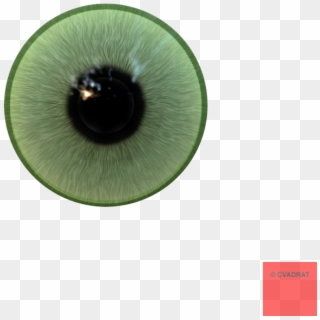 Realistic Eye Png - Macro Photography, Transparent Png