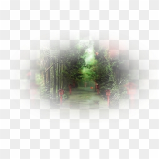 Spruce, HD Png Download