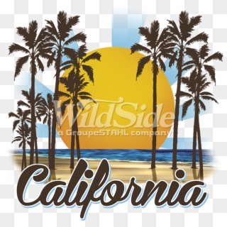 California Sunny Beach Stock Transfer - Palm Tree Silhouette Clip Art, HD Png Download