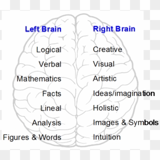 Are You Right Brained Left Brained Take The Brain Test - Left And Right Brain Hemispheres, HD Png Download