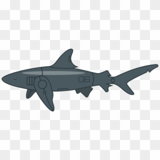 Shark, HD Png Download