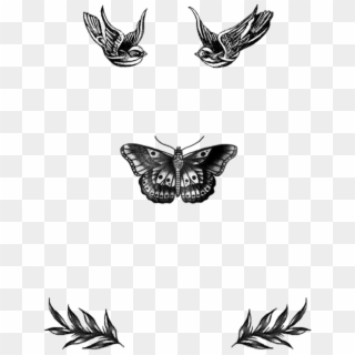 Q Harry Styles Tattoos Harry Styles Butterfly Tattoo - Harry Style Tattoo Drawing, HD Png Download