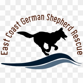 East Coast German Shepherd Rescue Angela Duggan - Dog Catches Something, HD Png Download