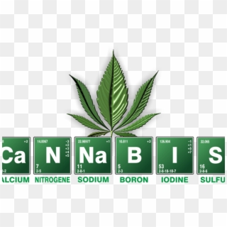 People Of Color Accessing The Marijuana Economy - Cannabis Periodic Table, HD Png Download