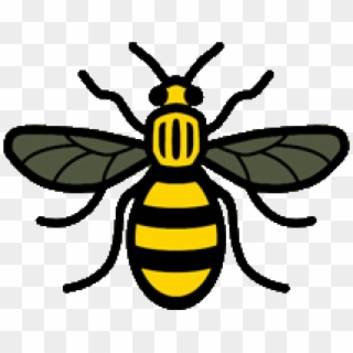 Manchester, Bee, Worker Bee, Fly, Honey Bee Png Image - Manchester Bee Png, Transparent Png