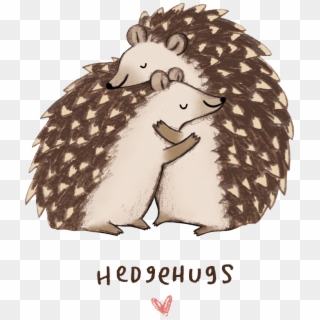 Kingdom Of Hedgehugs - Get Well Soon Hedgehog, HD Png Download