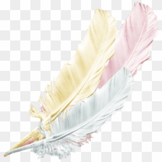 #gold #silver #pink #feather #feathers #native #boho - Traditional Sport, HD Png Download
