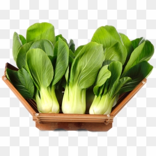 Keep Bok Choy Unwashed Until Ready To Use - Spring Greens, HD Png Download