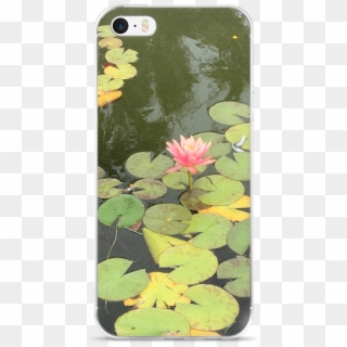 Casetiful Exclusives / Iphone 7 Lily Pad In The Lake - Sacred Lotus, HD Png Download
