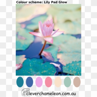 Lily Pad Glow Colour Scheme Palette - Beauty Of Grief, HD Png Download