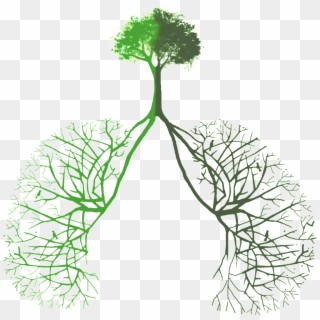Lung Opening Made From Green Plants - 나무 뿌리 Png, Transparent Png