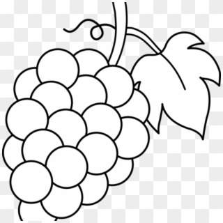 Banner Free Library Grape Clipart For Free Download - Clipart Grapes, HD Png Download