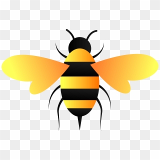 Bee Png Png Transparent For Free Download Page 3 Pngfind