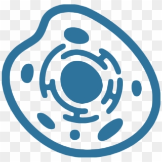 Mammalian Cell Experiments - Transparent Human Cell Icon, HD Png Download