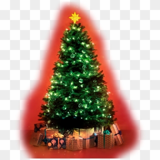 Arvore De Natal Png - Christmas Tree, Transparent Png
