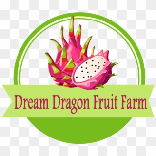 Dragon Fruit Png - Dragon Fruit Logo, Transparent Png
