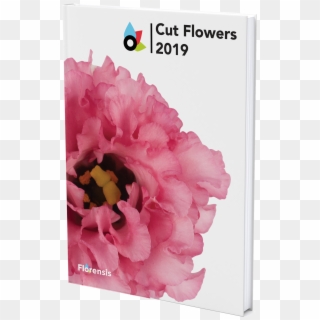 Catalogue - Florensis Catalogue 2019, HD Png Download