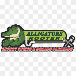Alligatorsrooter - Com - Cartoon, HD Png Download