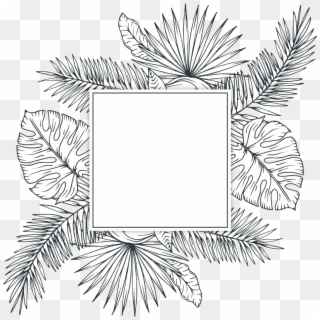 Tropical Vector Sketch - Tropical Plants In Black And White, HD Png Download