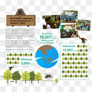 Mc Forest Celebrated Its First Anniversary On October - Trees Planting Report, HD Png Download
