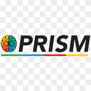 Prism Brain Mapping Contact Prism - Prism Brain Mapping, HD Png Download
