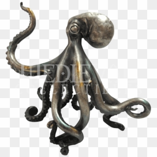Octopus, HD Png Download