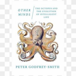 Other Minds The Octopus The Sea, HD Png Download