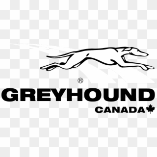 Greyhound Canada Logo Black And White - Line Art, HD Png Download