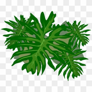 Philodendron Vector, HD Png Download
